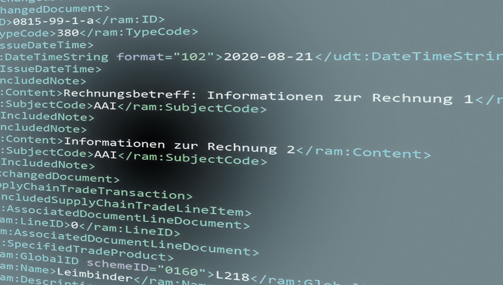 Blick auf Programmier-Code
