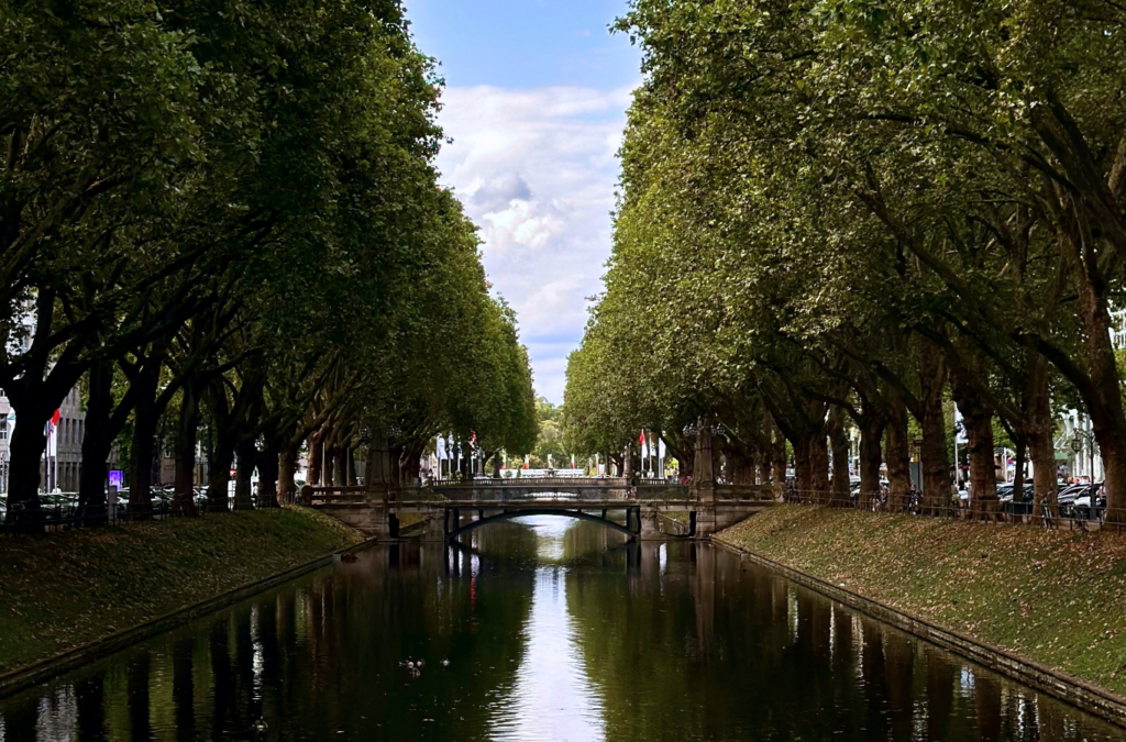 Bild 2 (reines Landschaftsfoto): Blick entlang eines von hohen, dicht belaubten Bäumen gesäumten Kanals in Düsseldorf, mit einer kleinen steinernen Brücke im Hintergrund und Spiegelungen der Baumreihen im Wasser.
