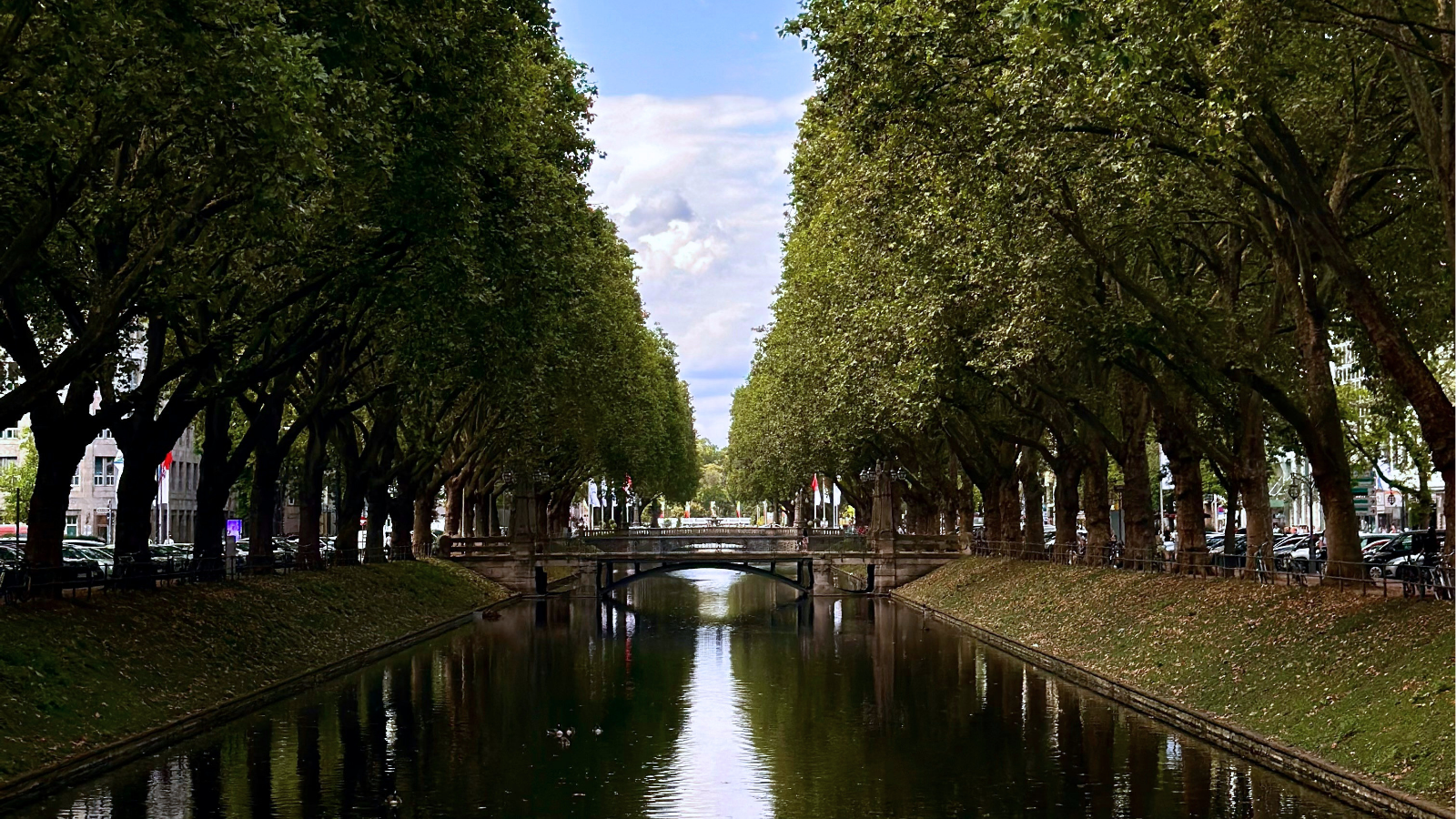 Bild 2 (reines Landschaftsfoto): Blick entlang eines von hohen, dicht belaubten Bäumen gesäumten Kanals in Düsseldorf, mit einer kleinen steinernen Brücke im Hintergrund und Spiegelungen der Baumreihen im Wasser.